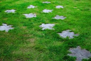 Walkway on green grass at garden,A path, walkway from the park,Some block of stone placed on the ground grass photo