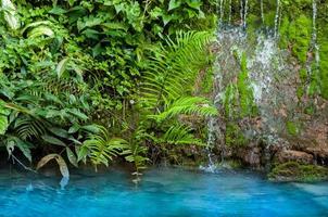 Small waterfall and green moss with different plants and blue water for nature background photo