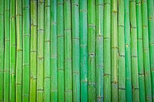 Green Bamboo fence background,Bamboo wood texture for background photo
