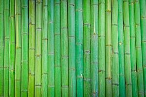 verde bambú cerca fondo, bambú madera textura para antecedentes foto