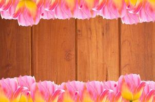 Tulips, frame  Fresh spring tulips flowers with space for text  on wooden background photo