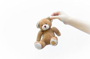 hand woman holding ear brown teddy bear toy on white background photo