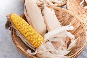 dry Corns in basket, A basket of dry sweet corn for background usage photo