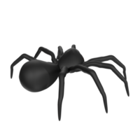 illustration of a spider isolated on transparent png