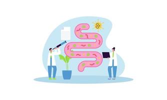 Tiny doctors examining gut flora, health concept illustration vector