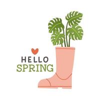 Hola primavera. linda lluvia botas con flores plantas. mano dibujado primavera imprimir, tarjeta, póster. mano escrito texto, letras vector