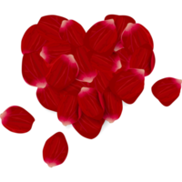 Valentine's day concept. rose petals arranged in a heart shape. png