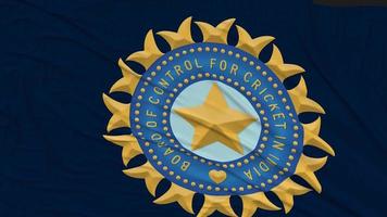 il tavola di controllo per cricket nel India bandiera stoffa rimozione a partire dal schermo, 3d rendering, croma chiave, luma Opaco video