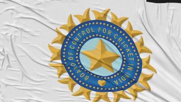 il tavola di controllo per cricket nel India bandiera stoffa rimozione a partire dal schermo, 3d rendering, croma chiave, luma Opaco video