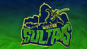multan sultans criquet équipe sans couture boucle drapeau agitant arrière-plan, Pakistan super ligue en boucle tissu texture lent mouvement, 3d le rendu video