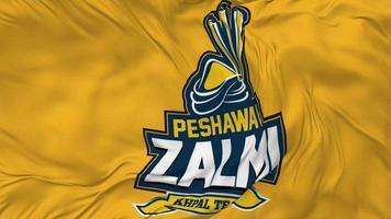 peshawar zalmi criquet équipe sans couture boucle drapeau agitant arrière-plan, Pakistan super ligue en boucle tissu texture lent mouvement, 3d le rendu video