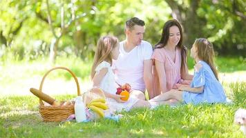 família feliz em um piquenique no parque em um dia ensolarado video