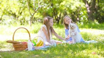 Two little kids on picnic in the park video