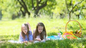 Two little kids on picnic in the park video