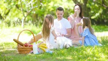 família feliz em um piquenique no parque em um dia ensolarado video