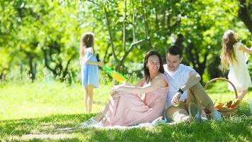 gelukkige familie op een picknick in het park op een zonnige dag video