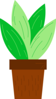 intérieur plante dans une pot png