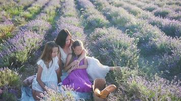 famille dans le champ de fleurs de lavande au coucher du soleil en robe blanche et chapeau video