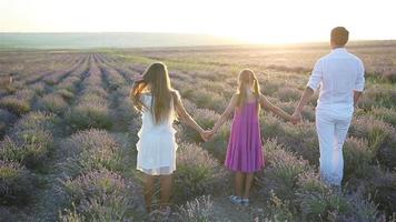 Family in lavender flowers field on the sunset video
