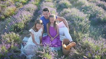 familj i lavendel- blommor fält på solnedgång video