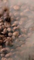 Vertical slow motion of roasted coffee beans falling. Organic coffee seeds. video