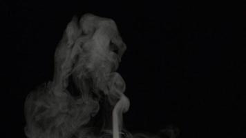 rallentatore di fumo bianco, nebbia, nebbia, vapore su sfondo nero. video