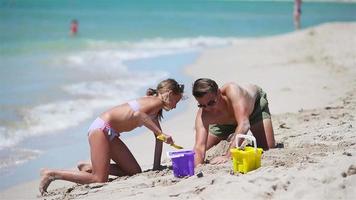 pai e filha em a de praia desfrutando verão período de férias video