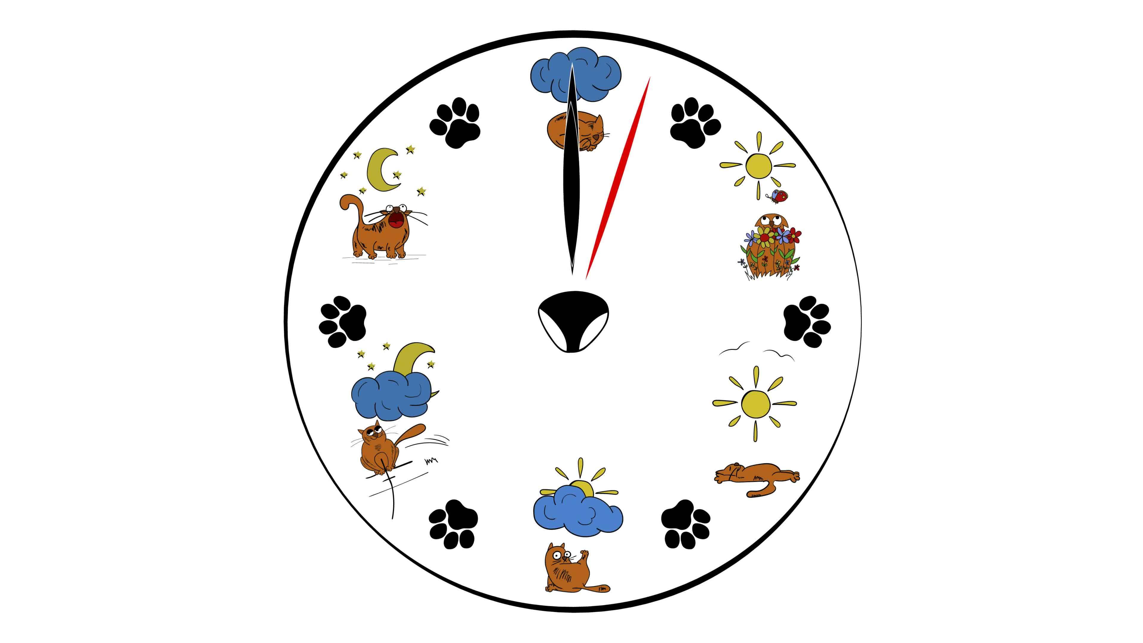 Cats clock face background. One minute. Clock with illustrations of funny  cats instead of a dial. 19997370 Stock Video at Vecteezy