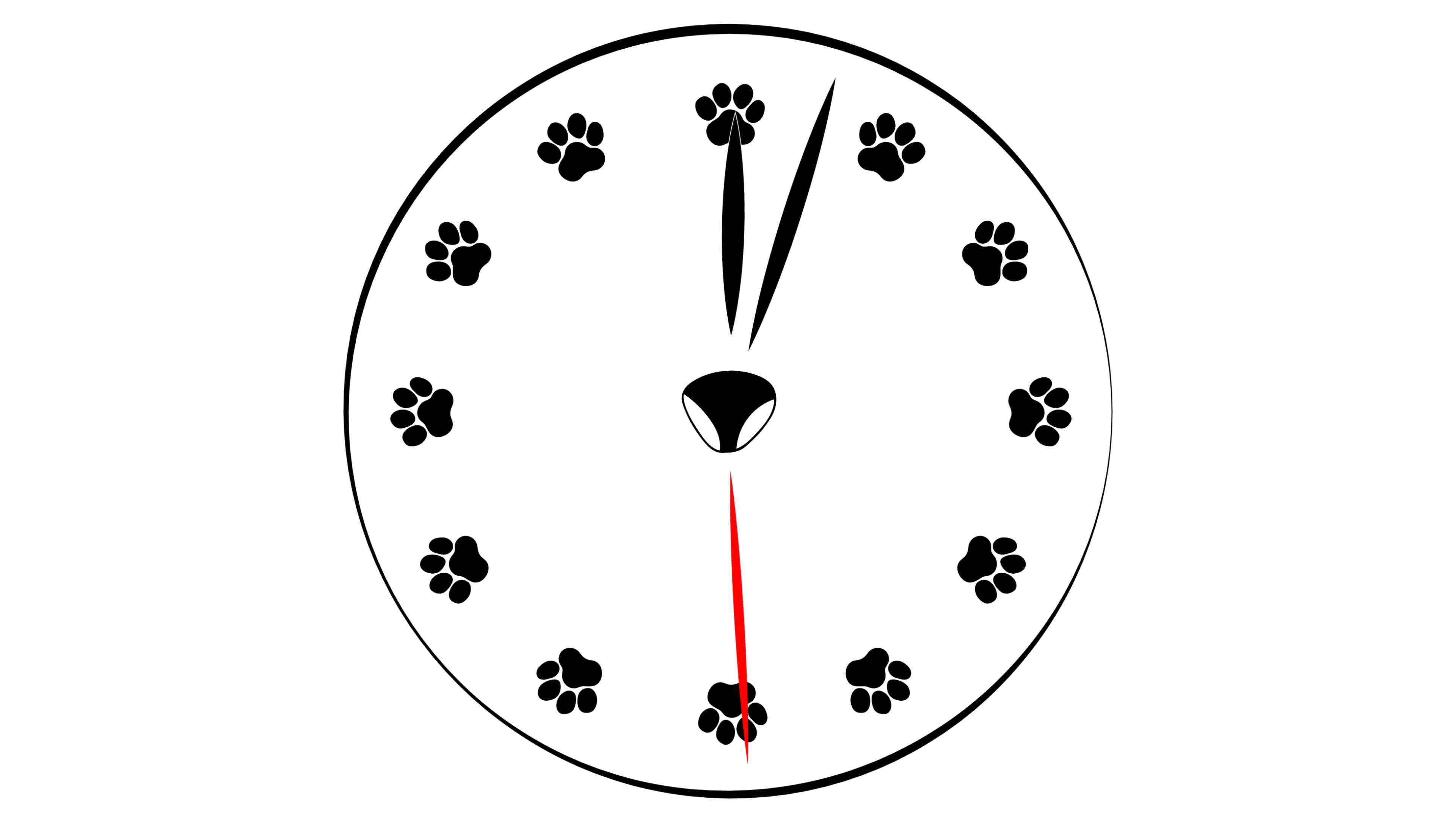 one-hour-in-one-minute-clock-face-with-paws-prints-instead-of-numbers