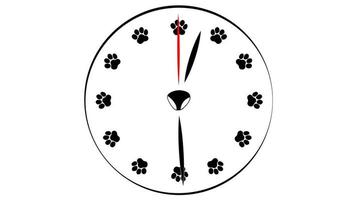 One day. Twenty-four hours in one minute. Clock face with paws prints instead of numbers. Dial made from pet paw prints. video