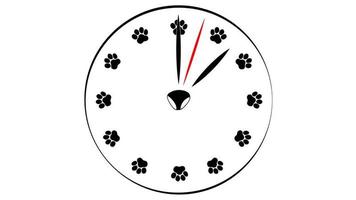uno minuto. orologio viso con zampe stampe anziché di numeri. comporre fatto a partire dal animale domestico zampa stampe. video