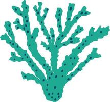 Seaweed grows in the sea. vector