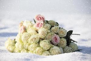 A bouquet of beautiful roses lies on the snow. photo