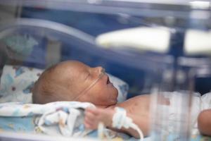 Premature baby in a medical box. photo