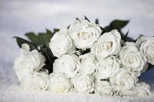A bouquet of white roses lies on the snow. photo