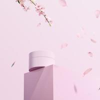 3d rendering Beautiful spring, cherry blossom background with pink background photo