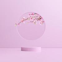 3d rendering Beautiful spring, cherry blossom background with pink background photo