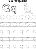 Quokka Animal Tracing Letter ABC Coloring Page Q vector