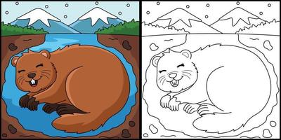 Groundhog Hibernating Coloring Page Illustration vector