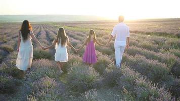 famille dans le champ de fleurs de lavande au coucher du soleil video