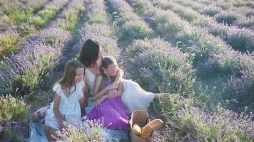 familj i lavendel- blommor fält på solnedgång i vit klänning och hatt video