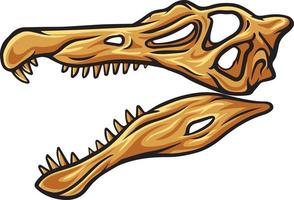 Spinosaurus dinosaur skull fossil illustration vector