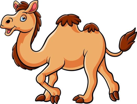 Cartoon Camel Vector Art & Graphics 