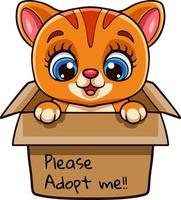 Cute cat cartoon in present gift box with text adopt me please vector