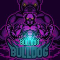 buldog deporte mascota logo diseño vector