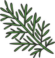 illustration de feuilles de romarin dessinées à la main dans un style doodle png