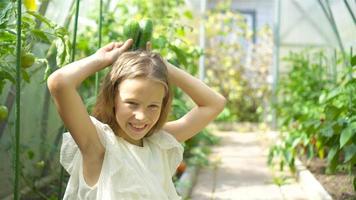 aanbiddelijk weinig meisje oogsten komkommers en tomaten in serre. video