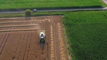 Drone video of a combine harvester harvesting in a wheat field in the evening in the low sun