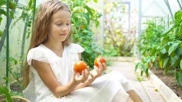 portrait d'enfant avec la grosse tomate dans les mains en serre video