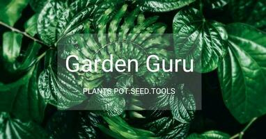 Garden guru promo template
